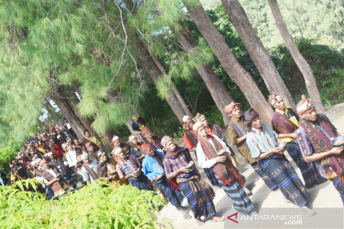 Festival Parade Pesona Kebangsaan Tandakan Ende Kota Pancasila