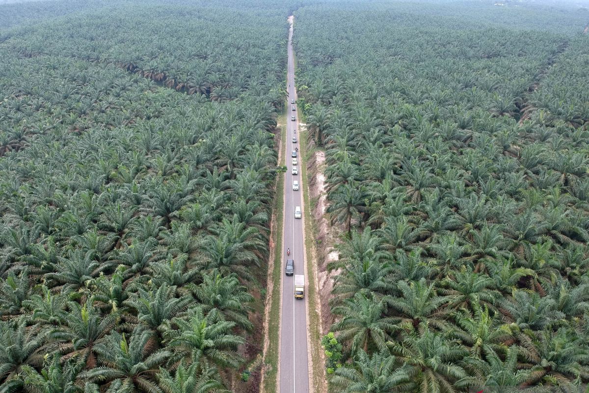 Jalur mudik Sumatera rawan terbakar