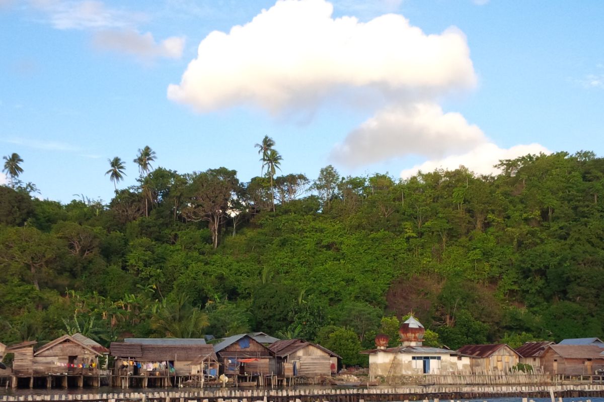 Desa di Halmahera Selatan nikmati listrik