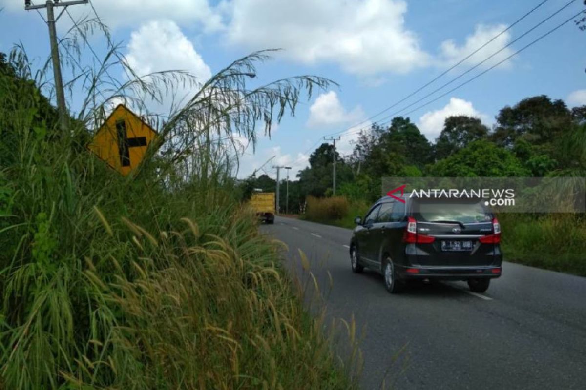 Semak belukar ganggu pengendara di Jalan lintas tengah Sumatera