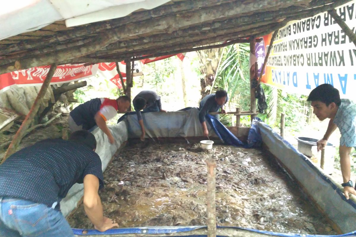 Persediaan ikan di Batanghari mencukupi kebutuhan jelang lebaran