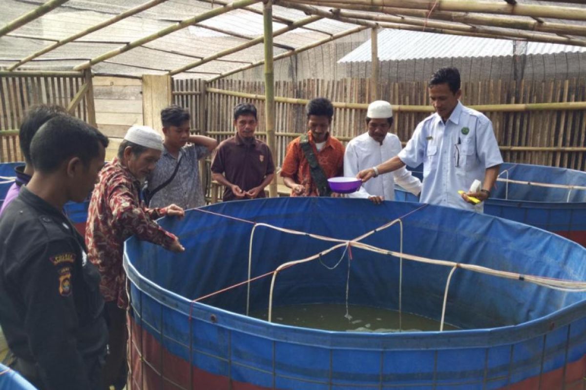 Astra Agro Lestari ajari Anak Dalam beternak dan pelihara ikan