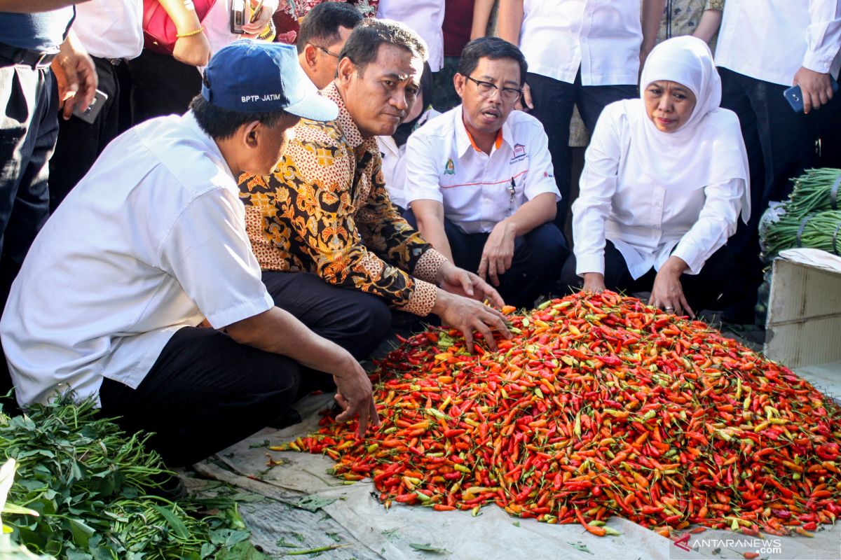 Operasi pasar belum efektif tekan harga cabai