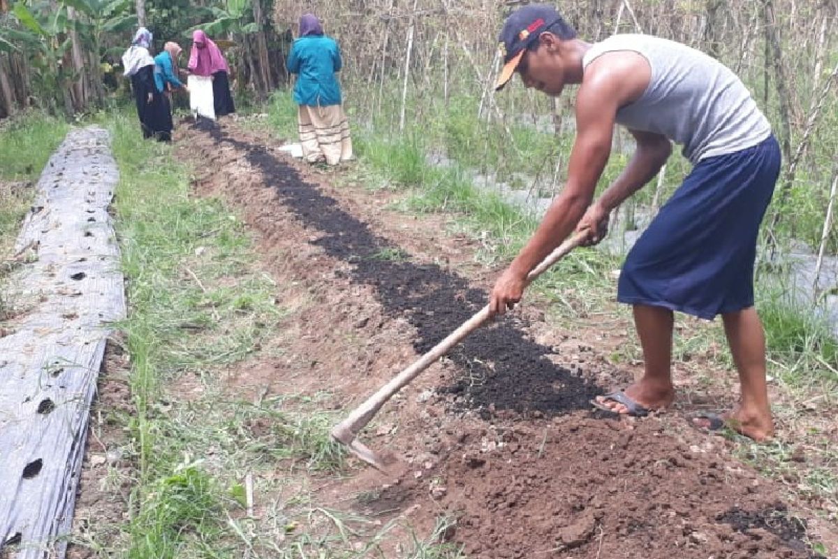 Mahasiswa Unimed mengajak petani Deli Serdang terapkan 