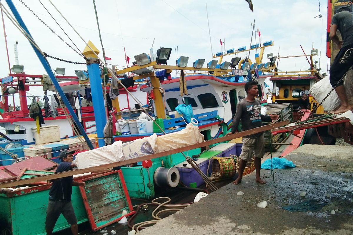 Nelayan lepas kembali hasil tangkapan ikan ke laut di Lhokseumawe