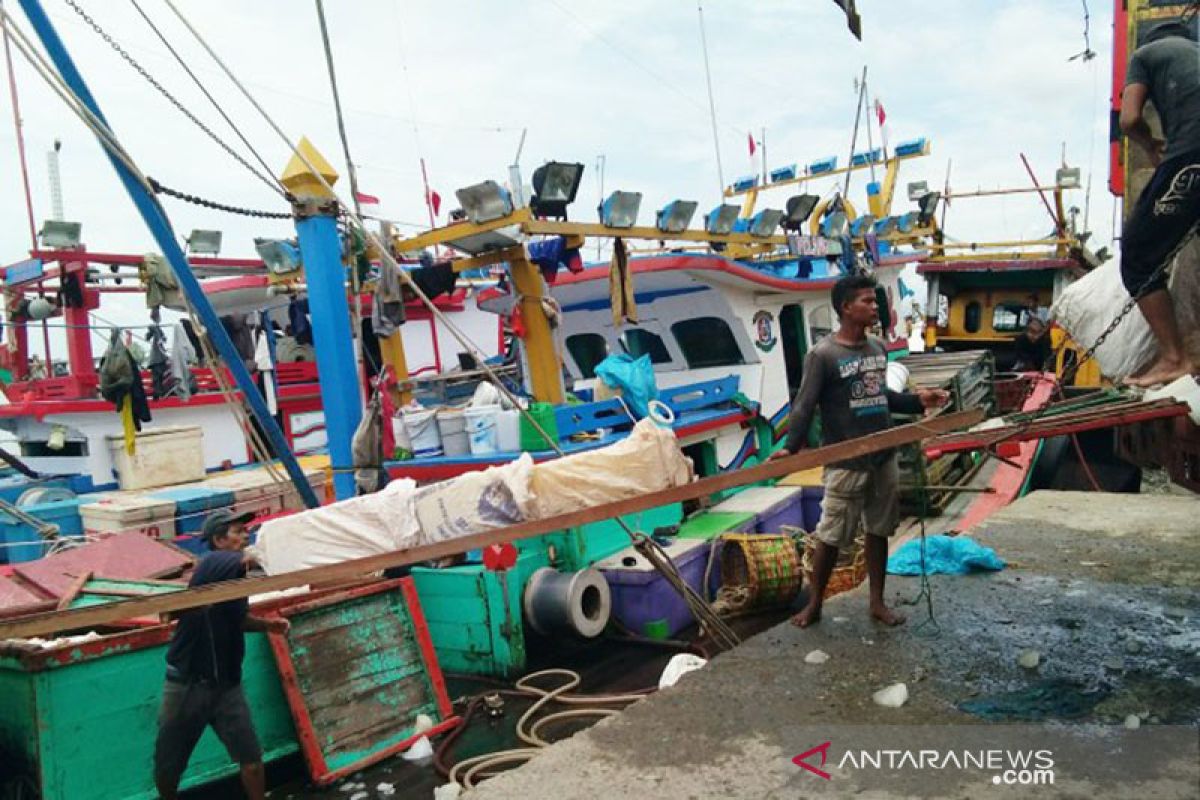 Nelayan Lhokseumawe lepas kembali hasil tangkapan ikan ke laut