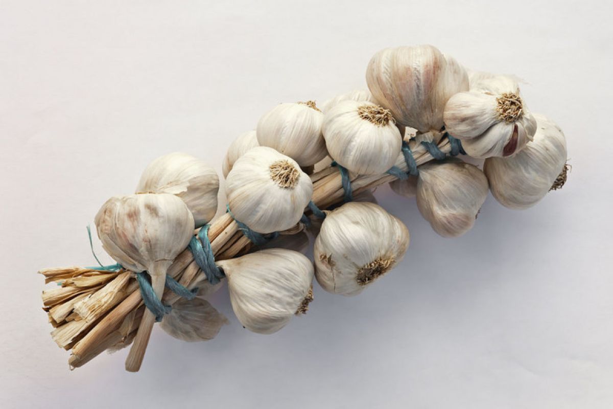 Harga bawang putih impor di Piru turun