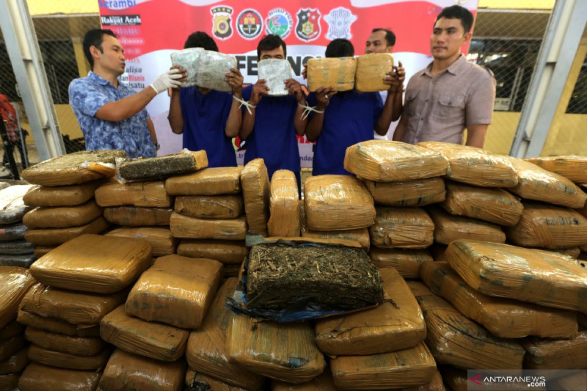 Polda Bali tangkap pengedar ganja 1,17 kilogram