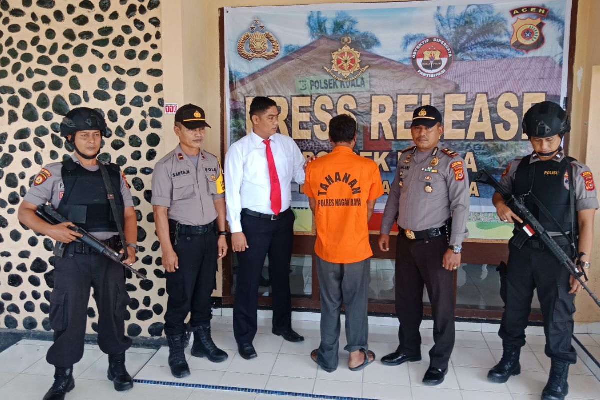 Curi kerbau tetangga, warga Nagan Raya ditangkap polisi