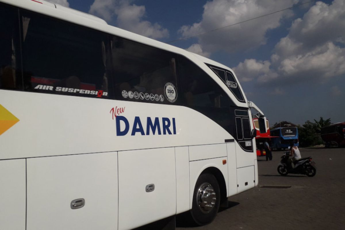 Damri Lampung sediakan 114 bus untuk angkutan mudik