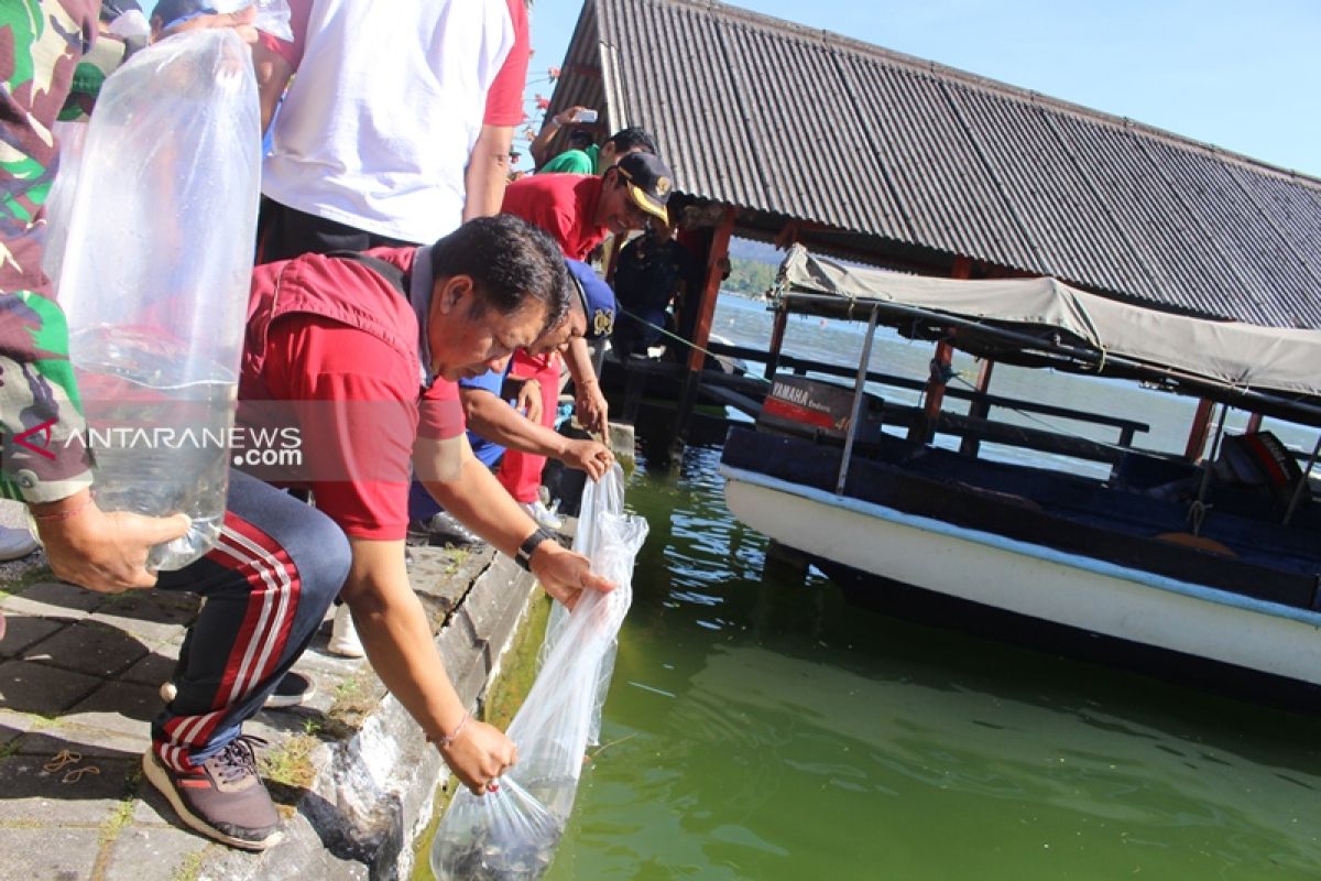 Lagi, Pemkab Bangli tabur 230.000 benih ikan di Danau Batur