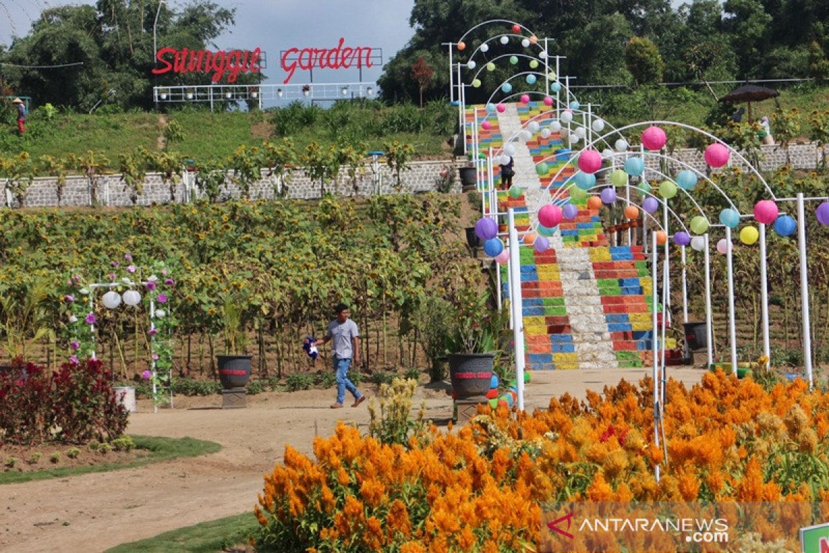 Taman bunga Sitinggil Garden  menarik berswafoto