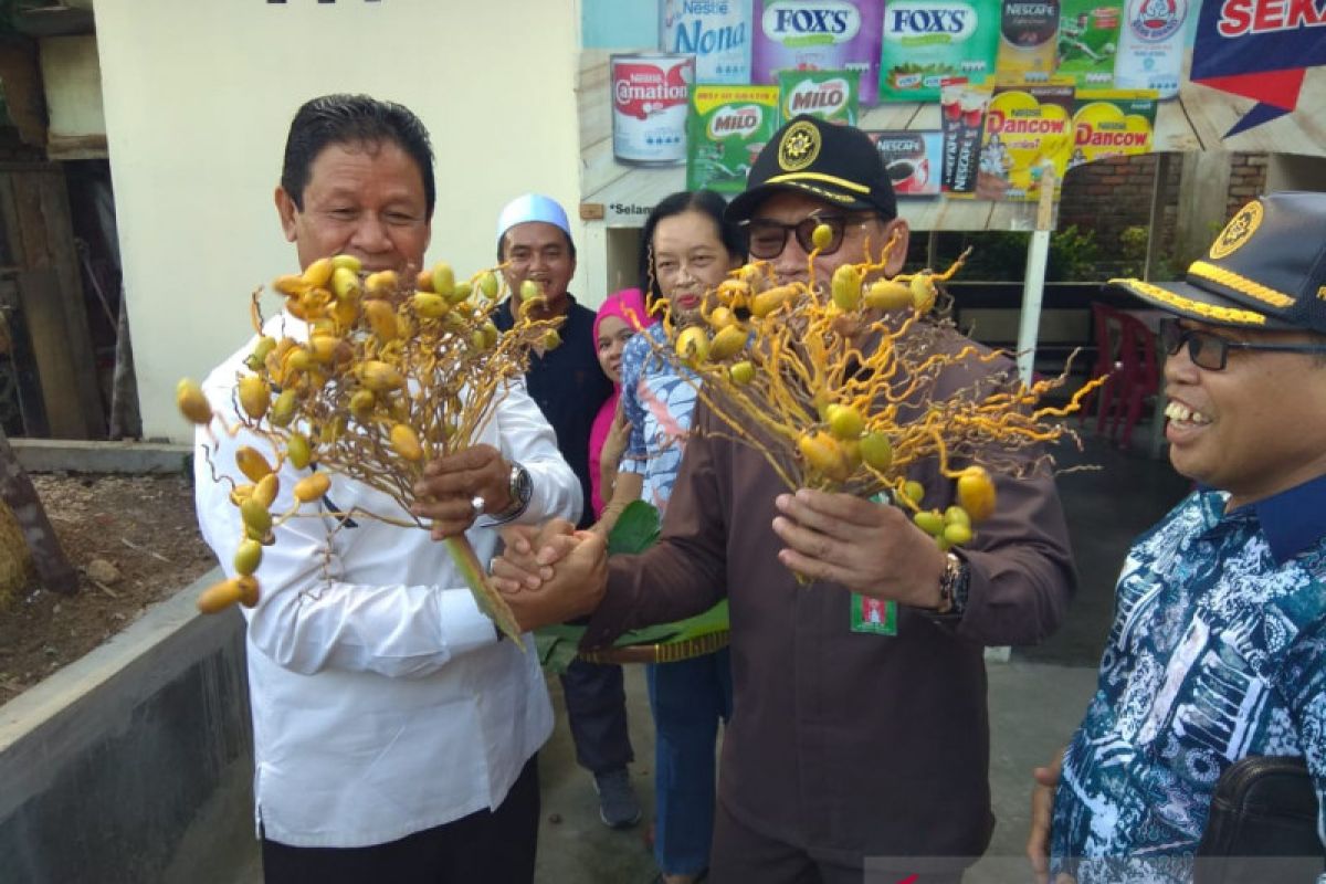 Wagub Kepri panen kurma perdana di Tanjungpinang