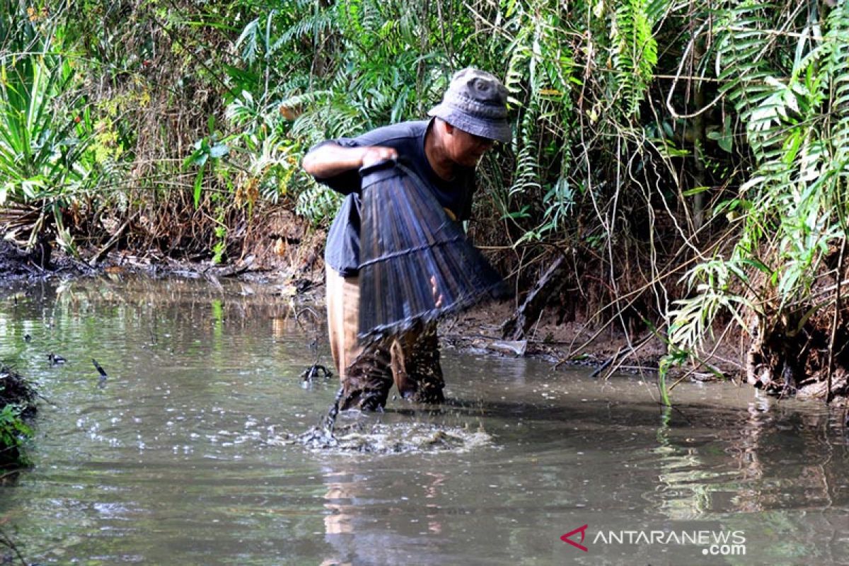 Menangkap ikan dengan perangkap