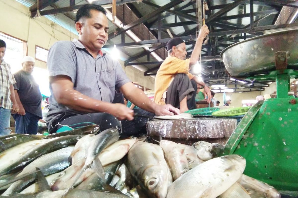 Harga ikan anjlok di Lhokseumawe