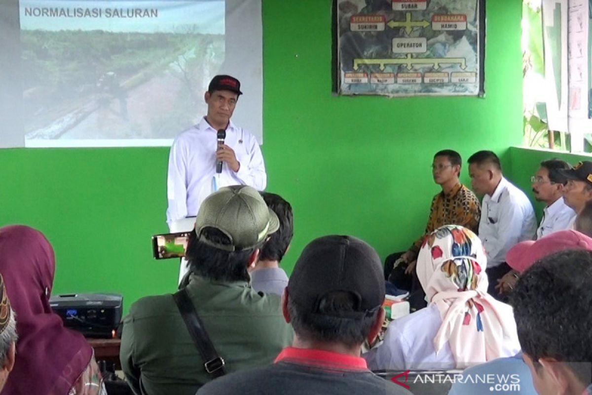 Mentan optimalkan 500 ribu lahan rawa di enam provinsi