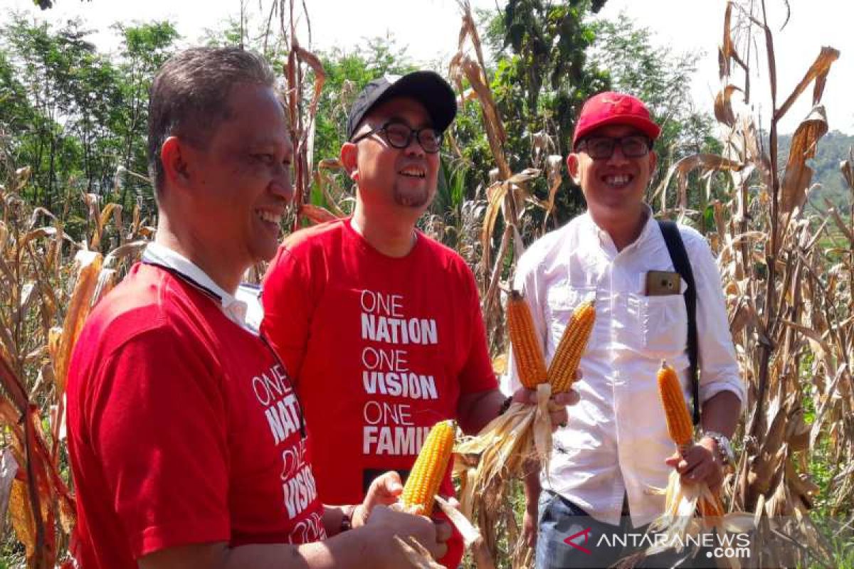 PT TWC bantu pengembangan budidaya jagung petani Magelang