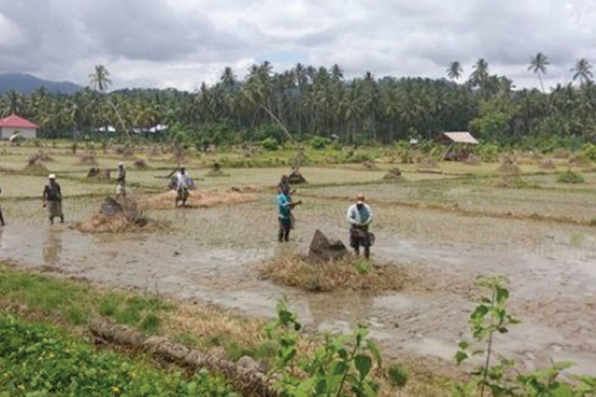 Dukung Program Serasi Kementan, PT Polowijo genjot produksi dolomit