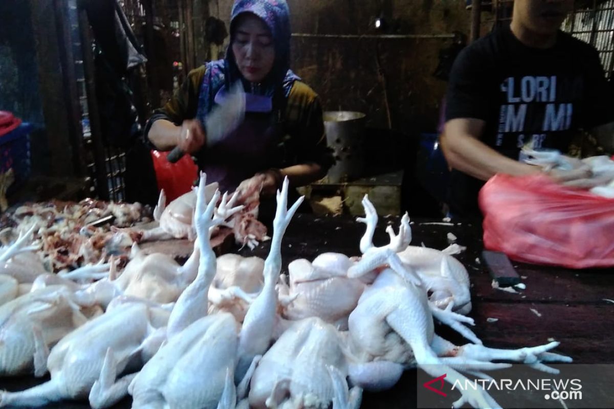 Harga ayam potong di Pekanbaru naik Rp27.000 sambut Idul Fitri 1440 H