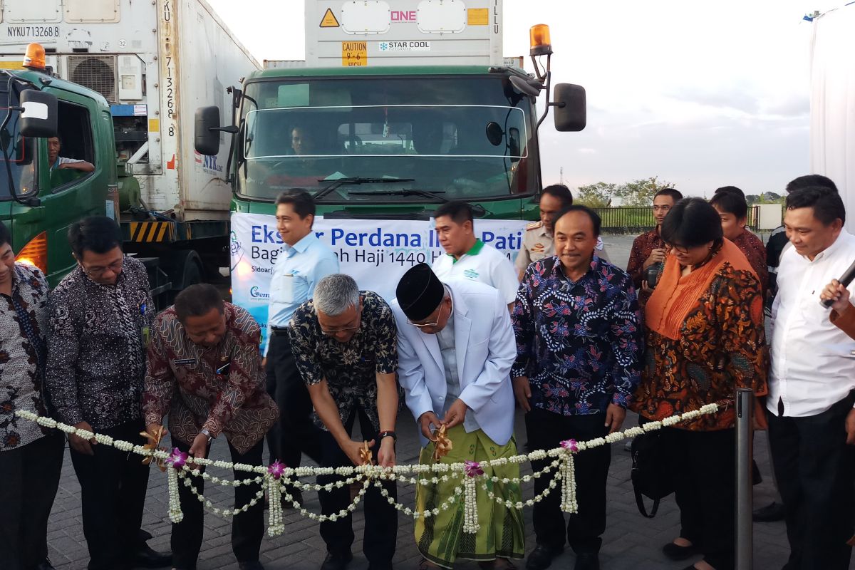 KKP dorong industrialisasi budi daya ikan patin