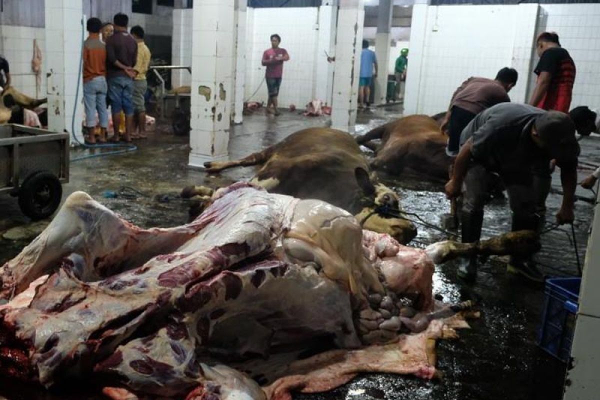 Tim gabungan Pemkot Magelang razia penjualan daging