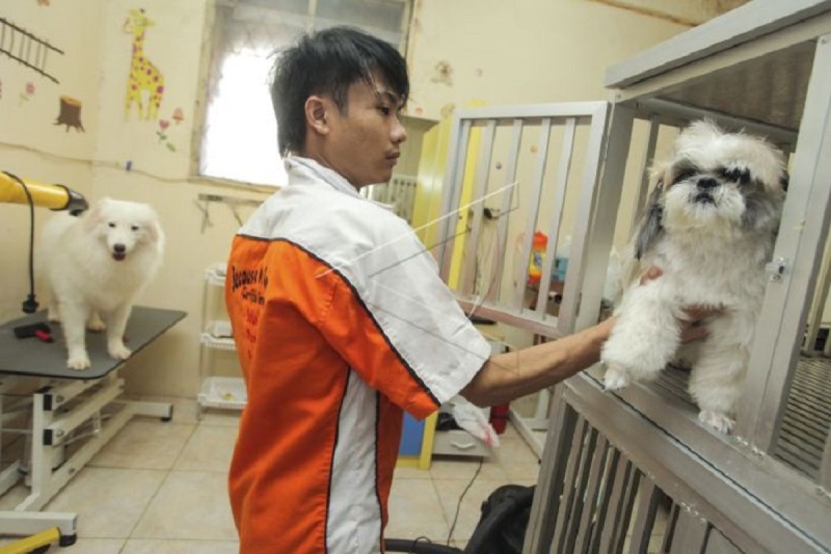 Pemprov DKI buka layanan penitipan hewan peliharaan saat mudik