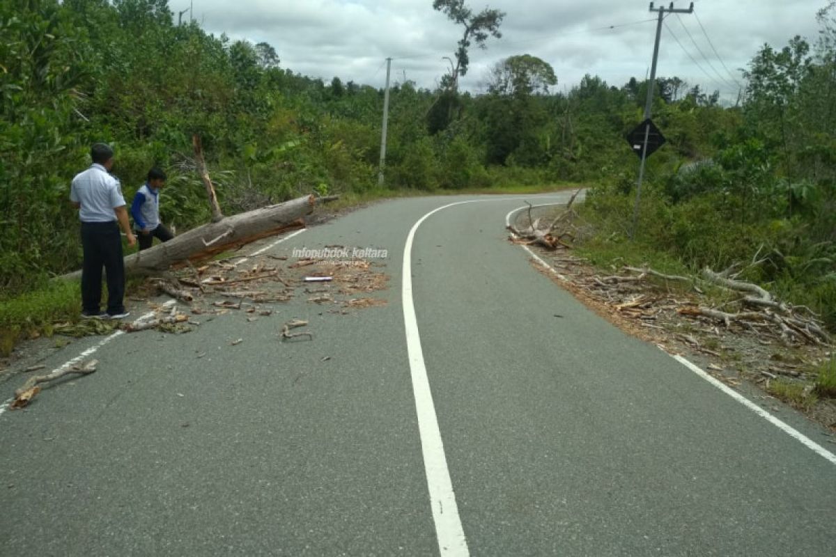 Pantau Daerah Rawan Kecelakaan, Dishub Lakukan Survei Jalan