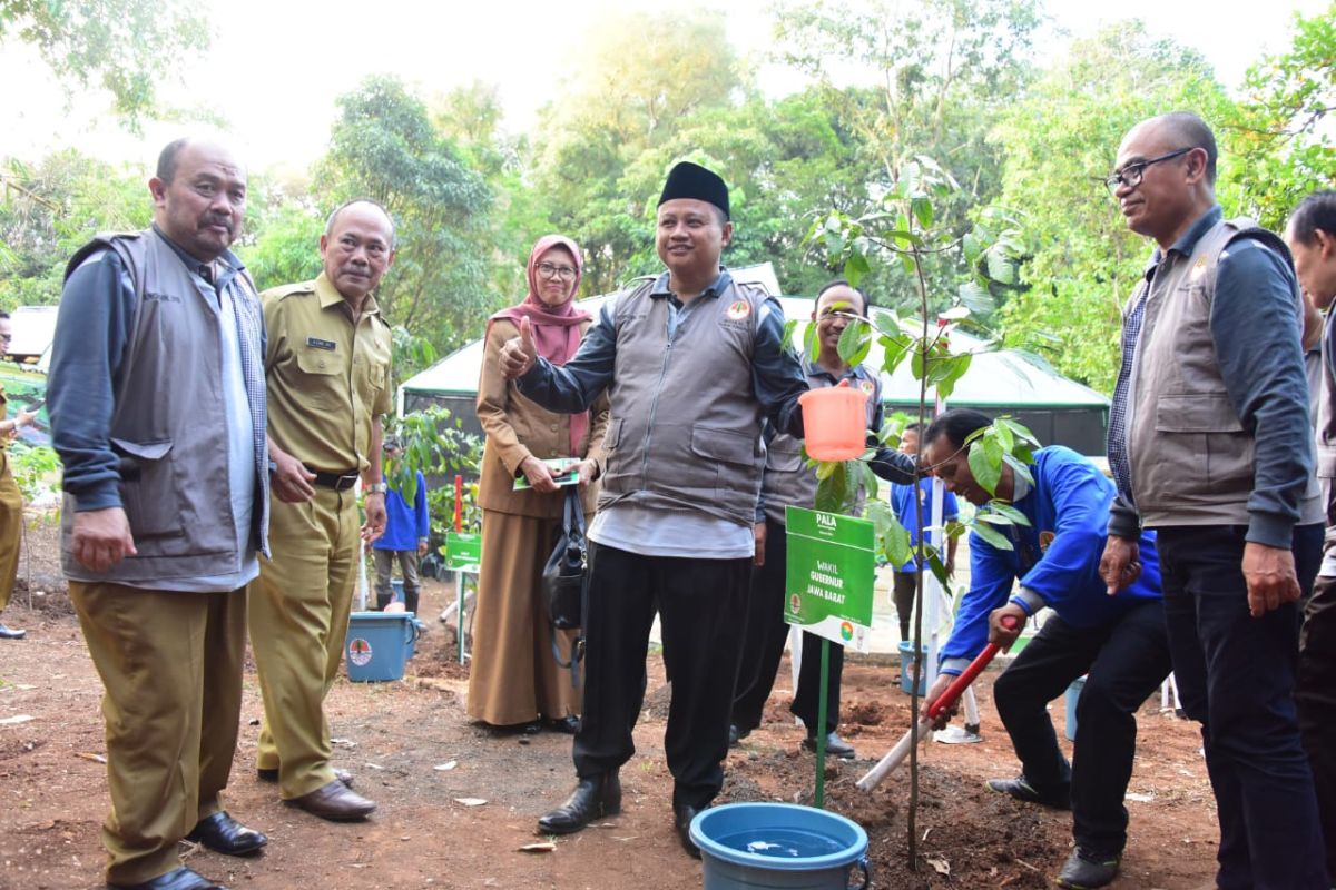 Sekitar 8.500 hektare lahan kritis Jabar akan direhabilitasi