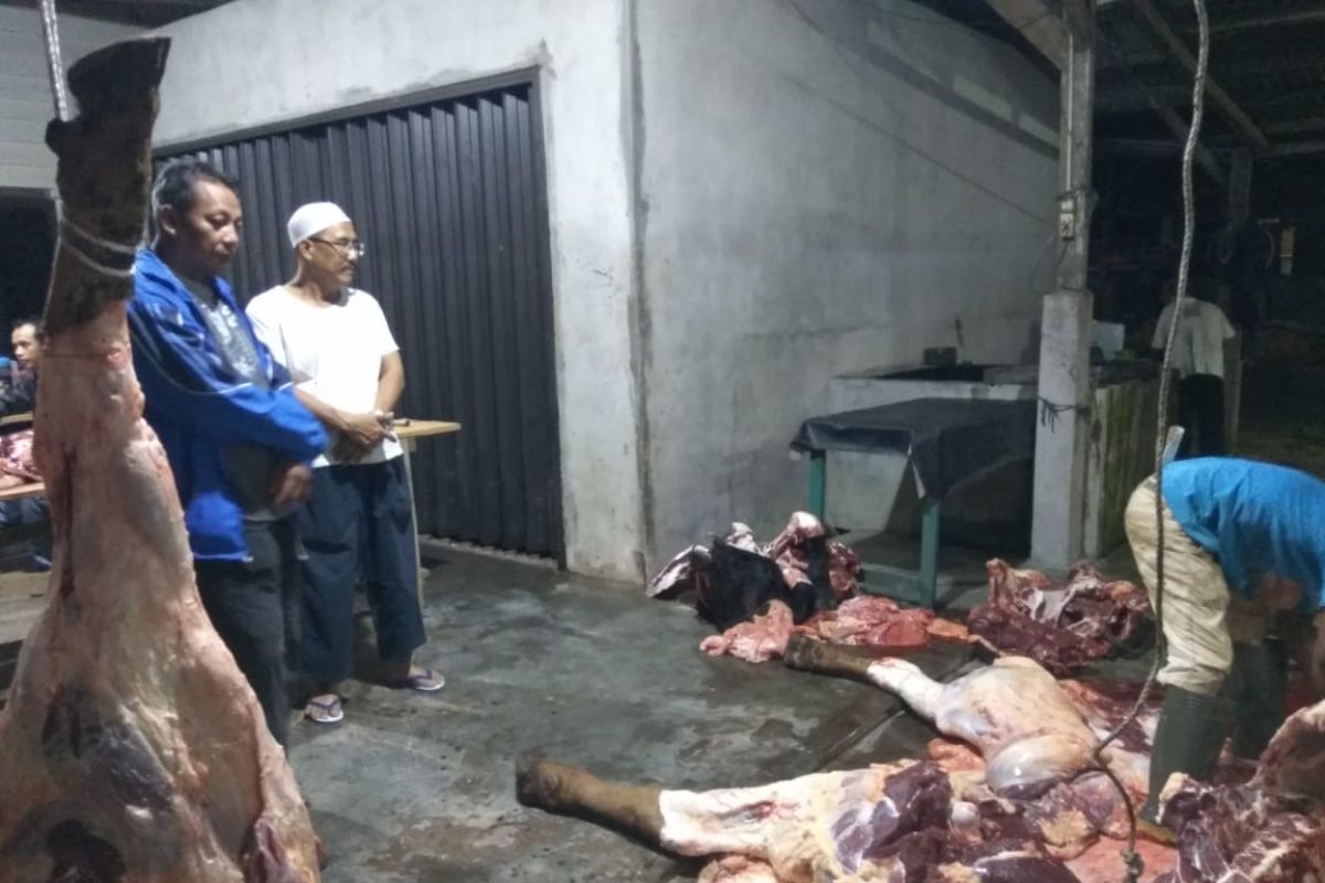 Dinas Bangka Tengah salurkan 1.637 kg daging sapi bersubsidi