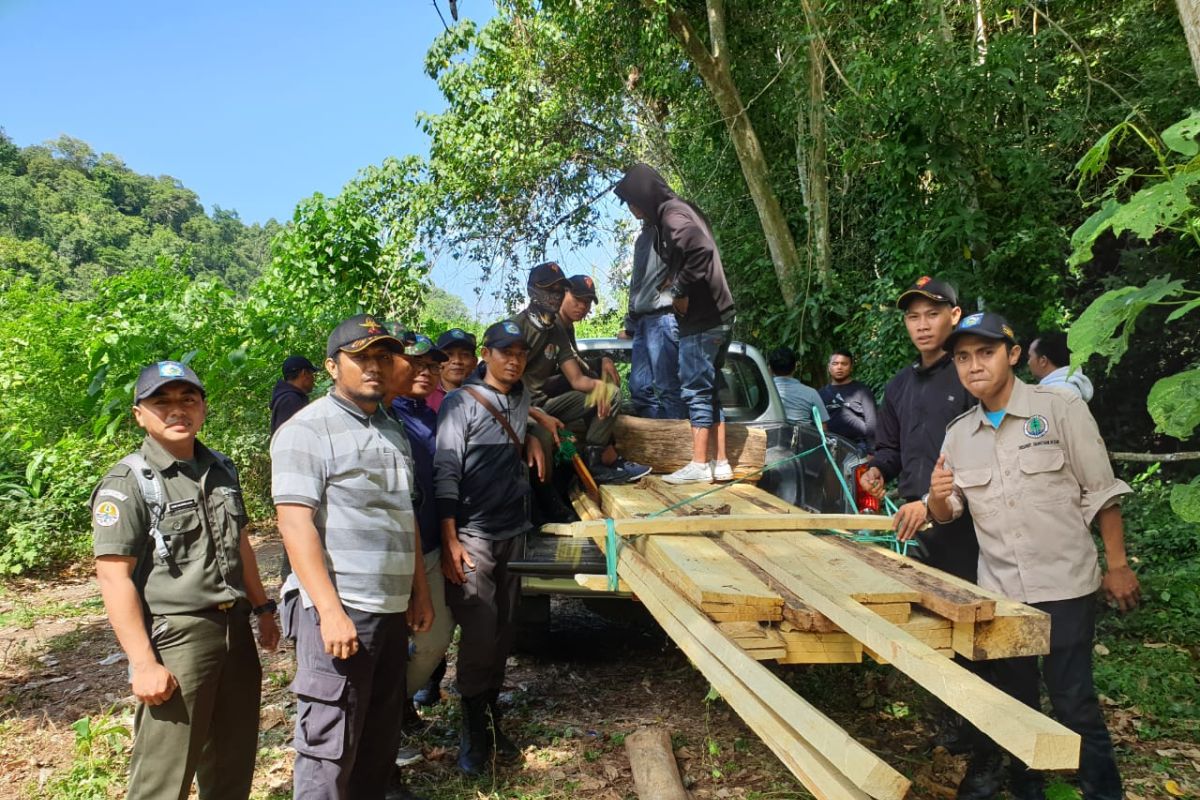 Polisi bekuk pelaku perusak hutan di Sumbawa Barat