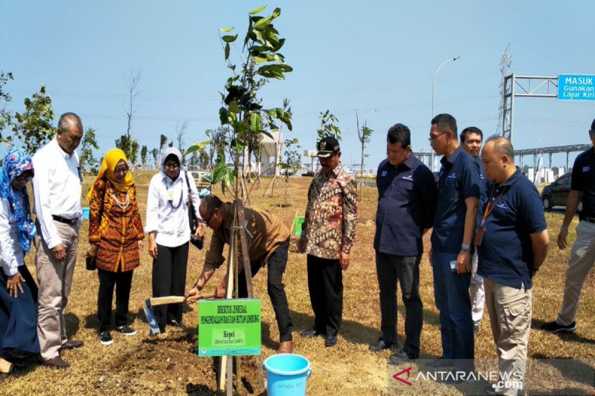 KLHK hijaukan 50 hektare kawasan Bandara Internasional Yogyakarta