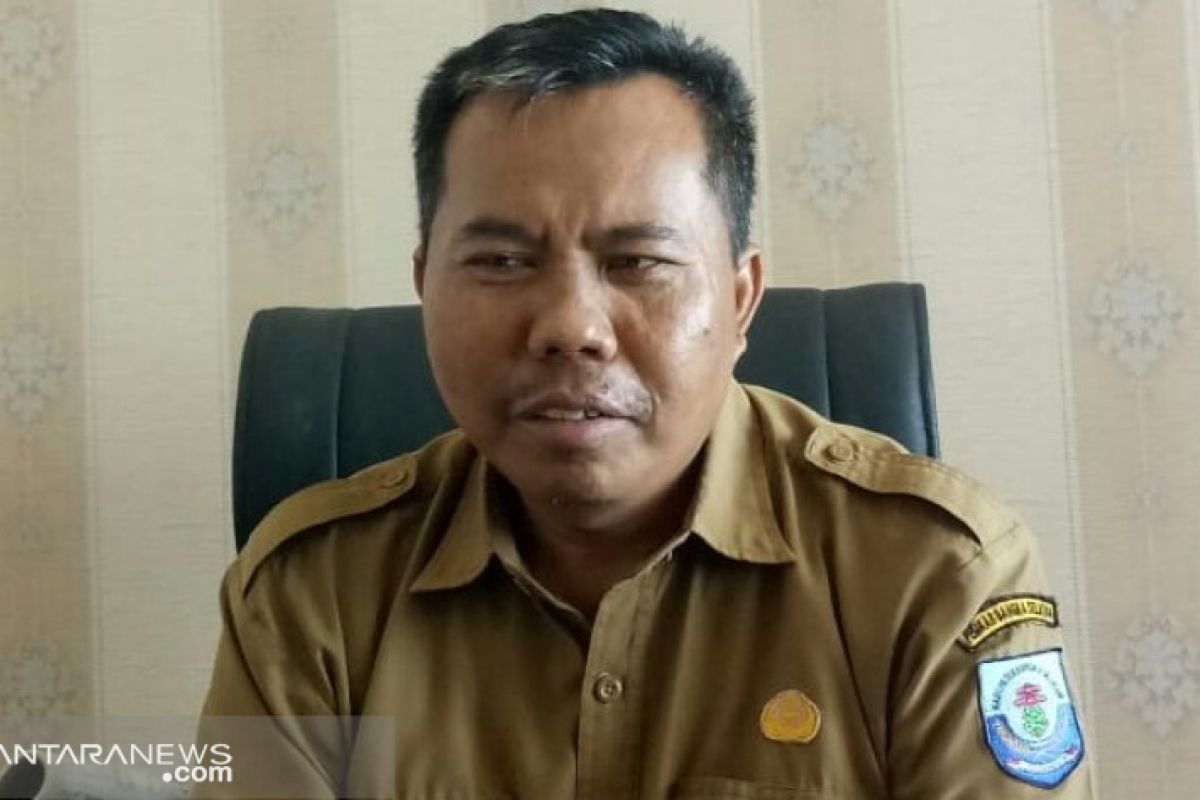 DKPPKB Bangka Selatan siagakan 34 tenaga kesehatan dalam arus mudik