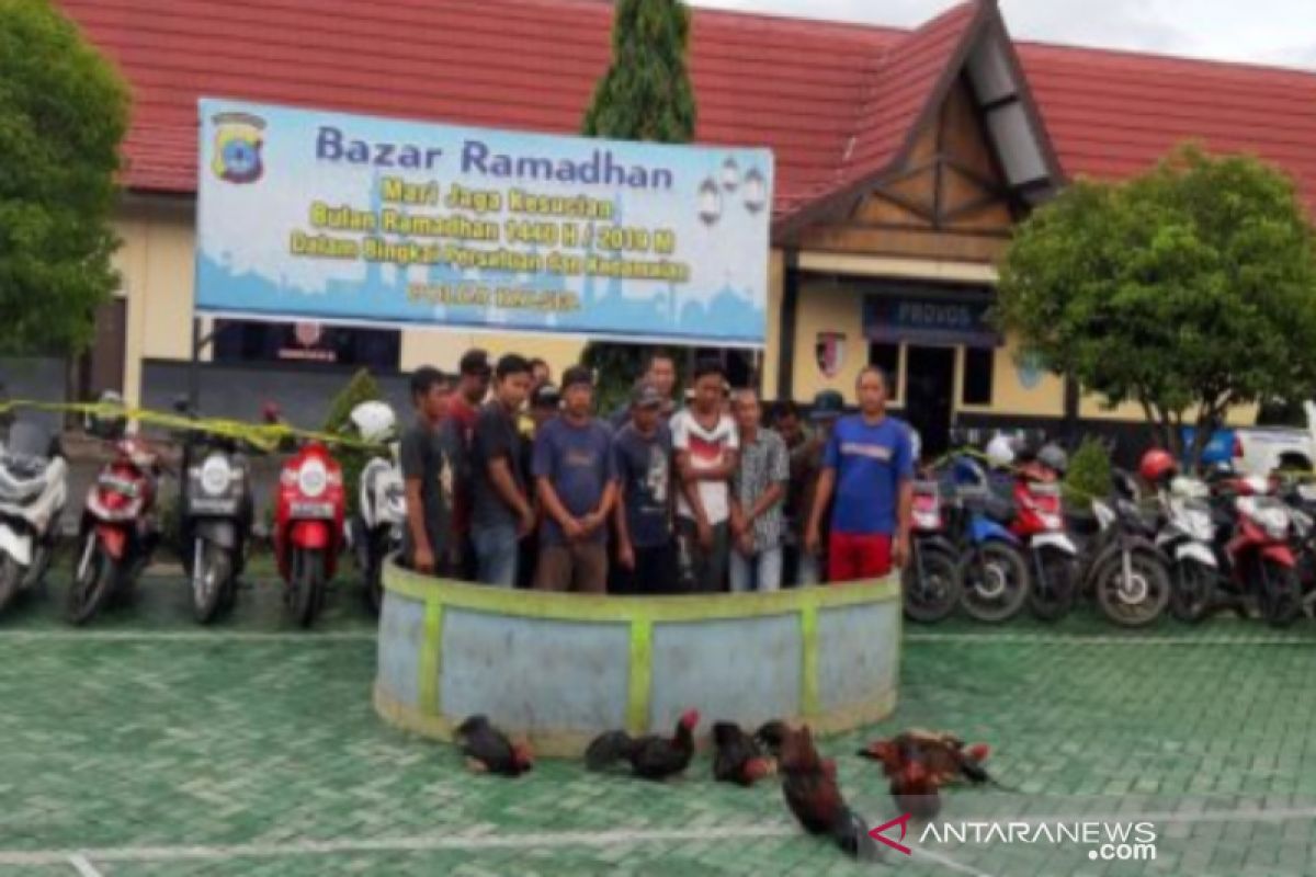 Polsek Taliwang bubarkan perjudian sabung ayam