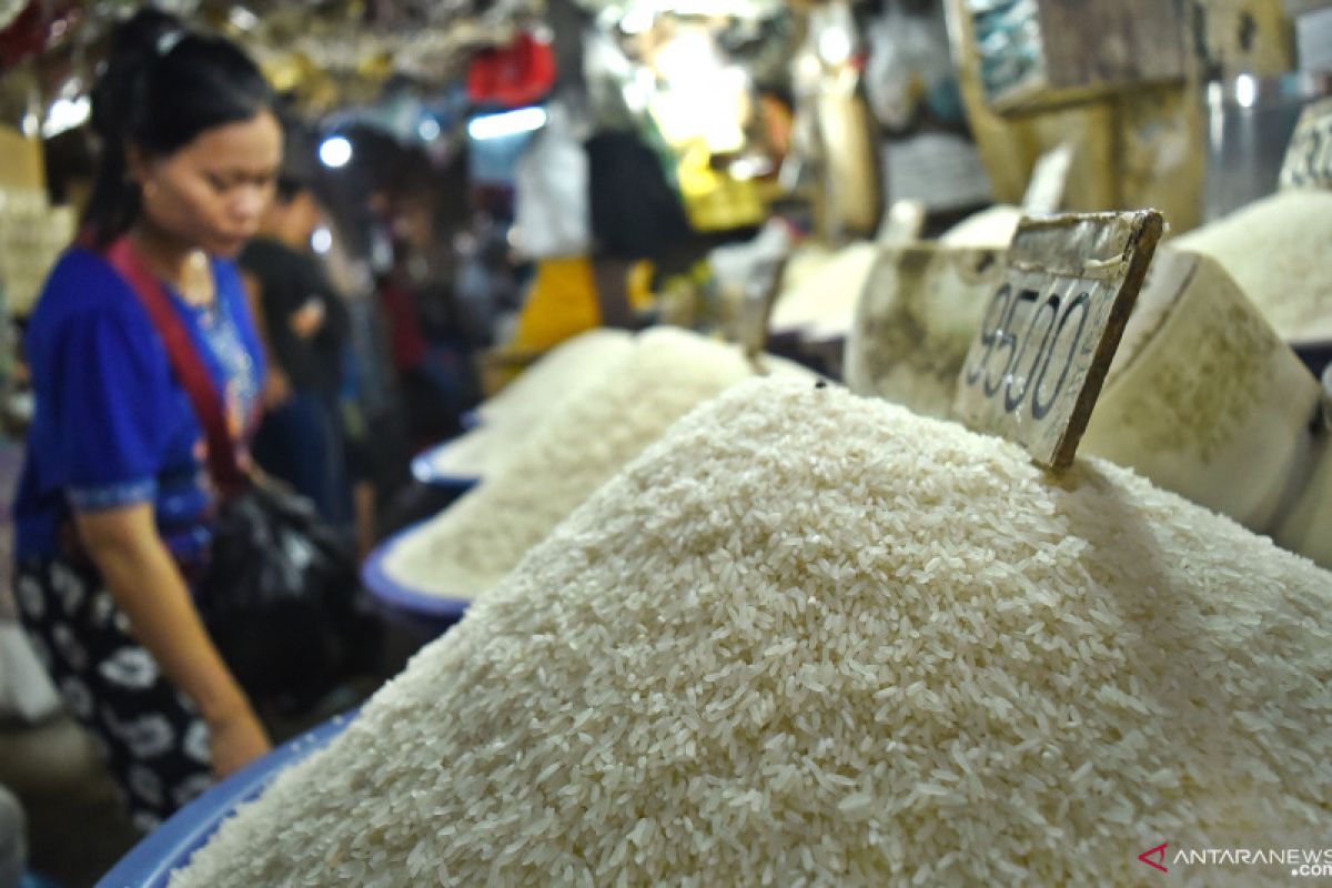 Perlu antisipasi dampak kemarau terhadap harga beras