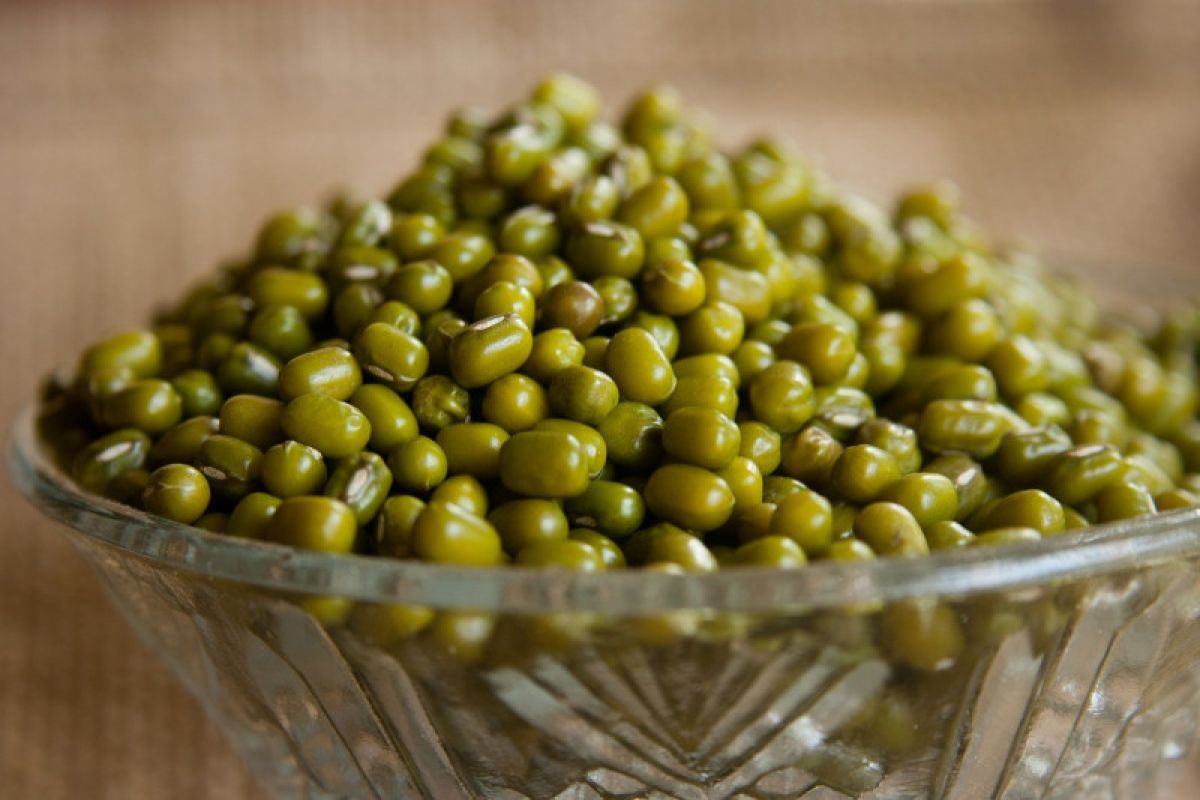Manfaat buka puasa dengan bubur kacang hijau