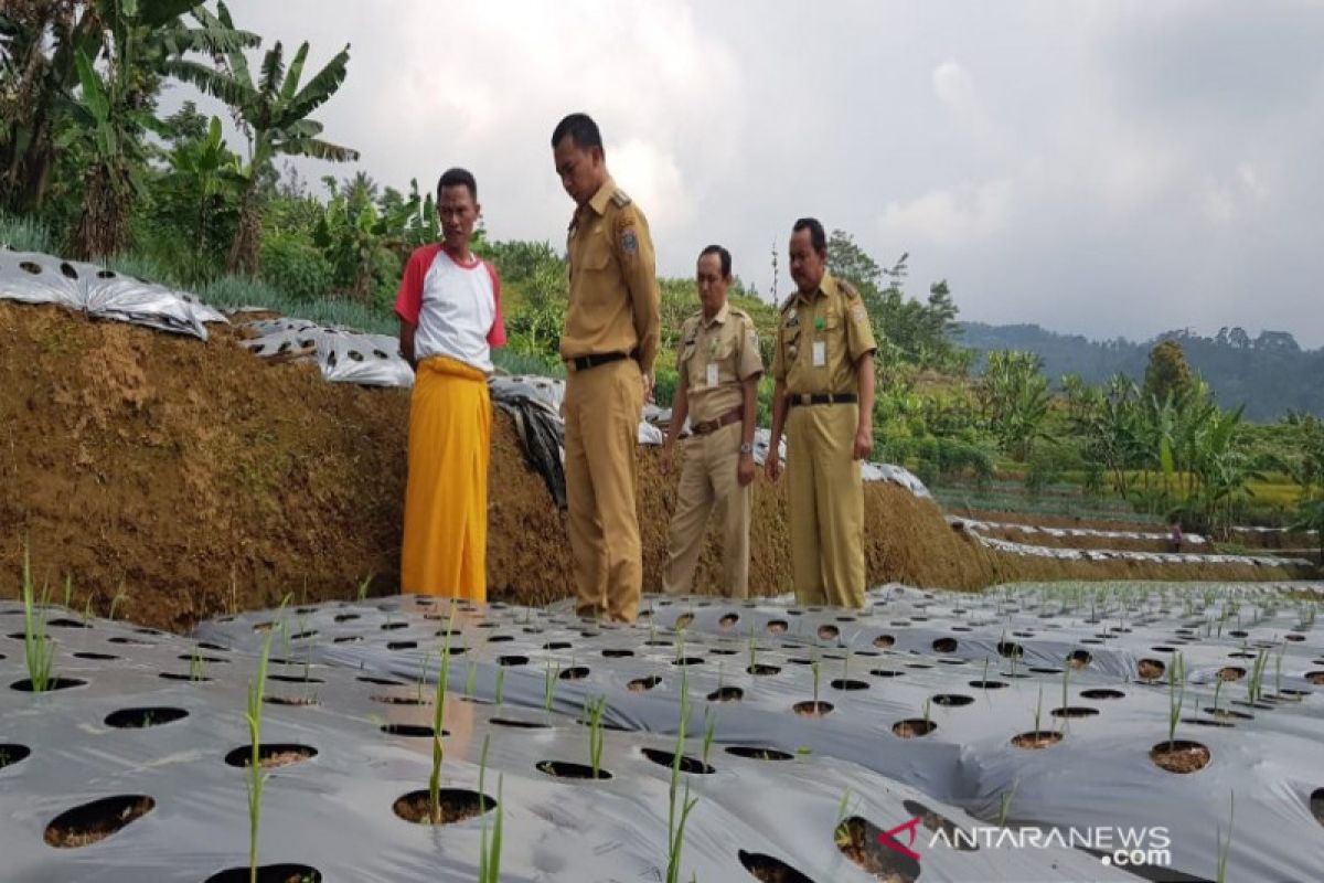 Pemkab Batang tekankan pentingnya revolusi industri pertanian