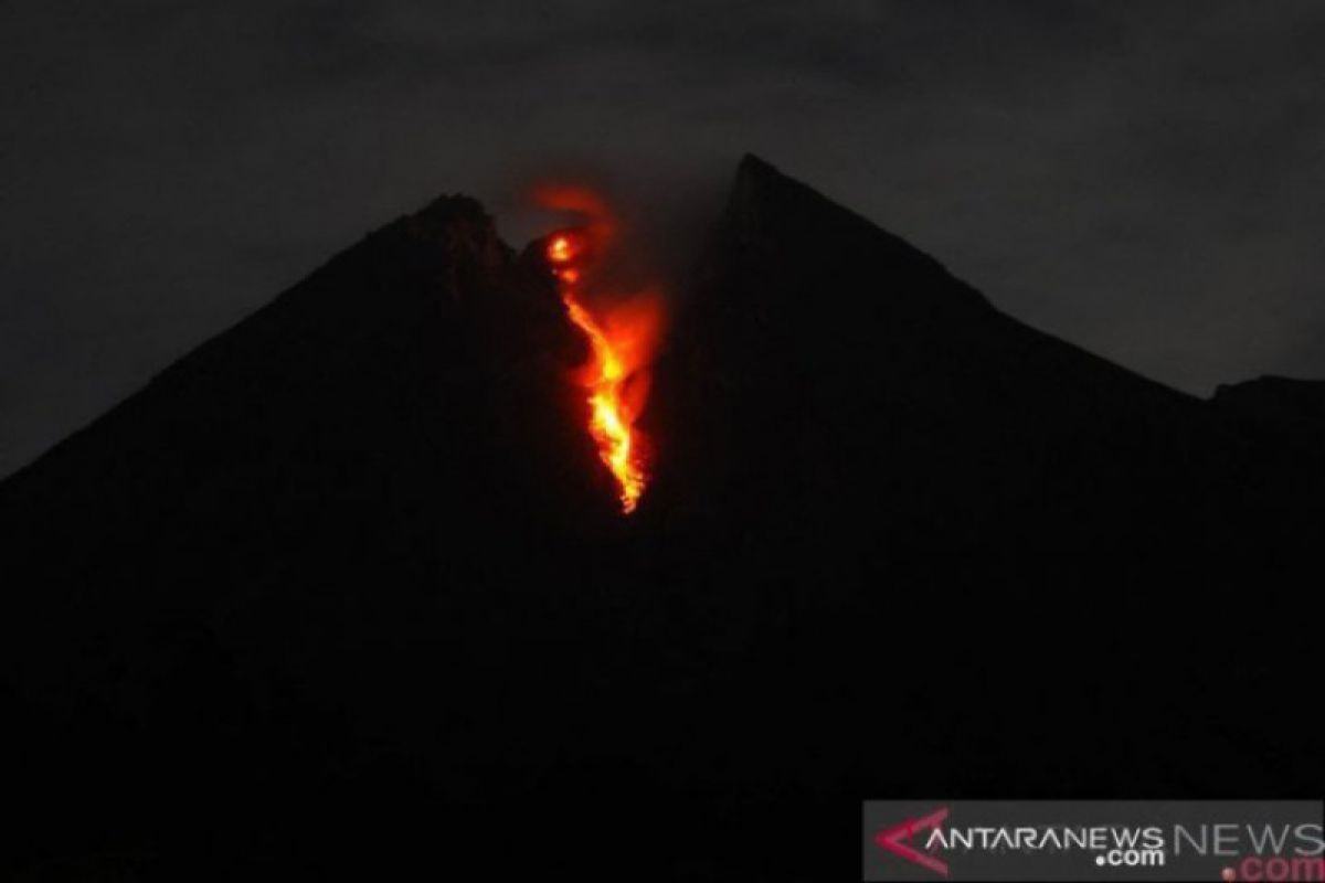 Mount Merapi spews incandescent lava as far as 870 meters