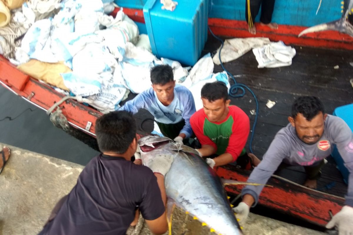 Aceh ekspor enam ton ikan segar lewat laut ke Thailand