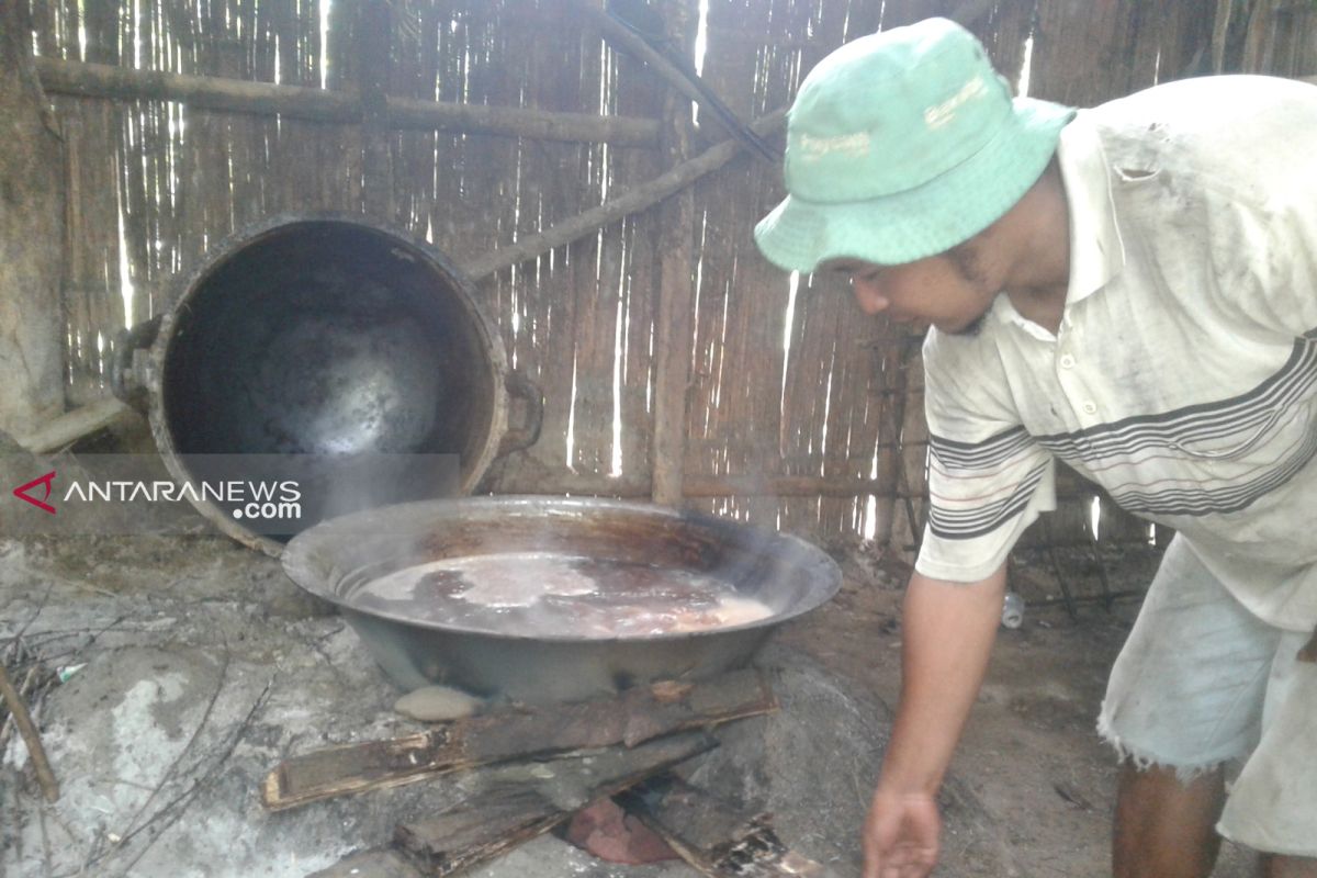 Varietas aren Rejang Lebong unggulan nomor empat nasional