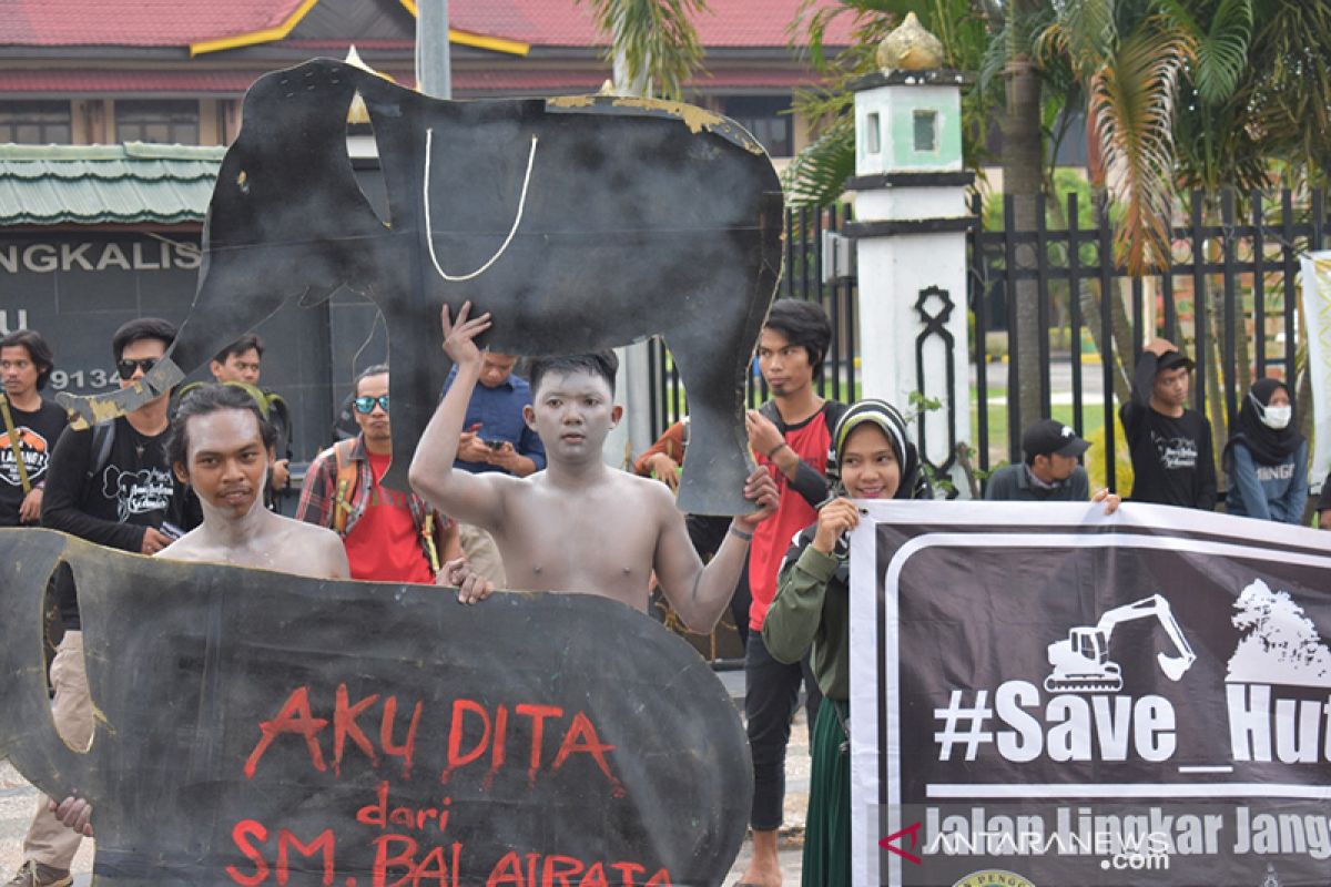 BBKSDA Riau pertahankan Hutan Talang dari proyek jalan. Begini penjelasannya