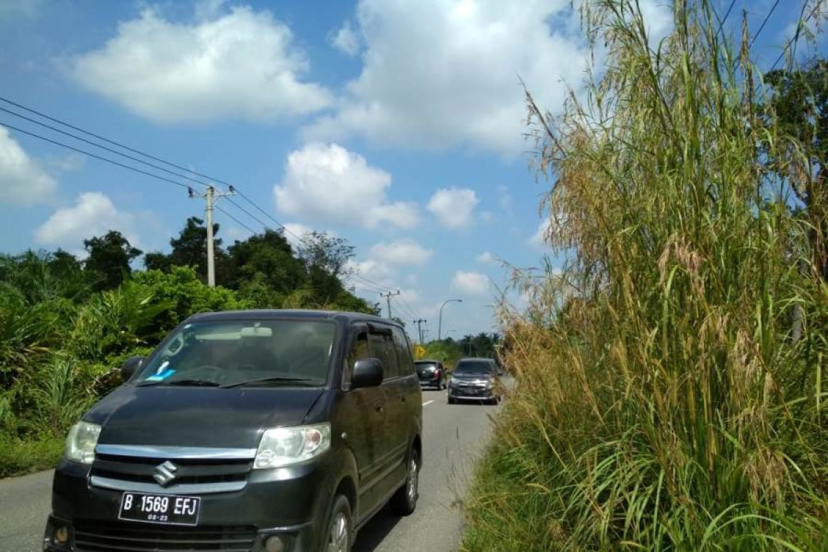 Bupati: Jalur mudik di Muratara  tidak 'seram' lagi