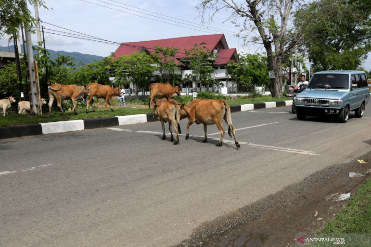 Jalur mudik pesisir Utara Aceh tidak ada lonjakan kendaraan