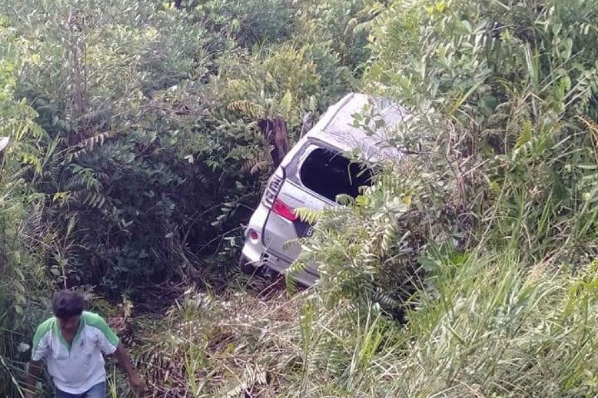 Avanza terobos semak belukar di Jalinteng Sumatera