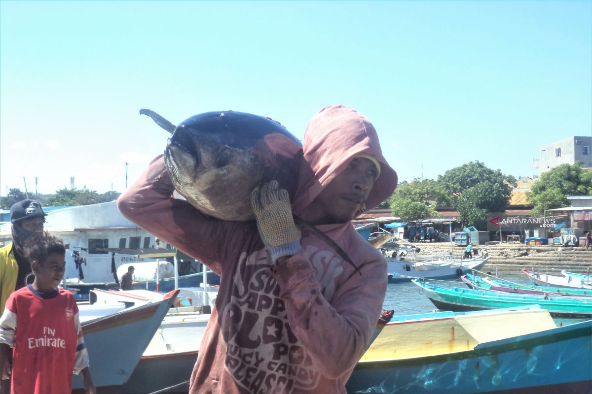 Harga Ikan di Kupang meroket akibat cuaca buruk