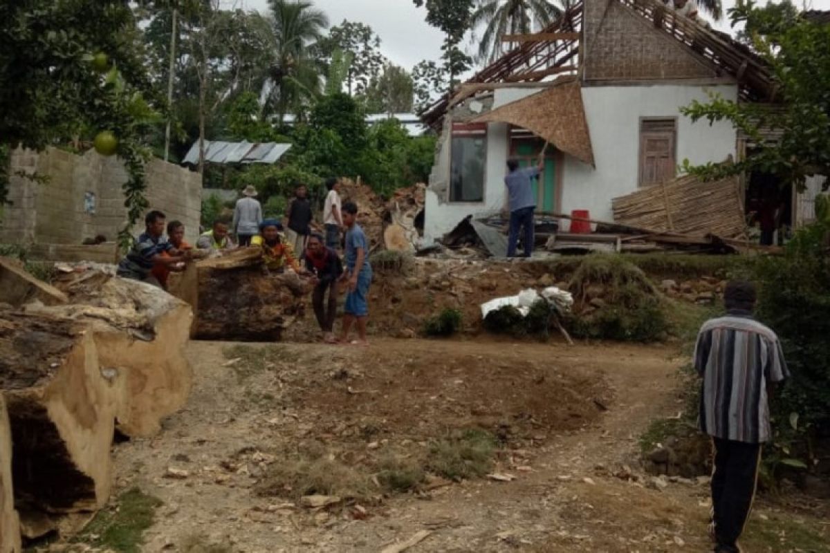 Pohon tumbang di Blitar timpa dua rumah