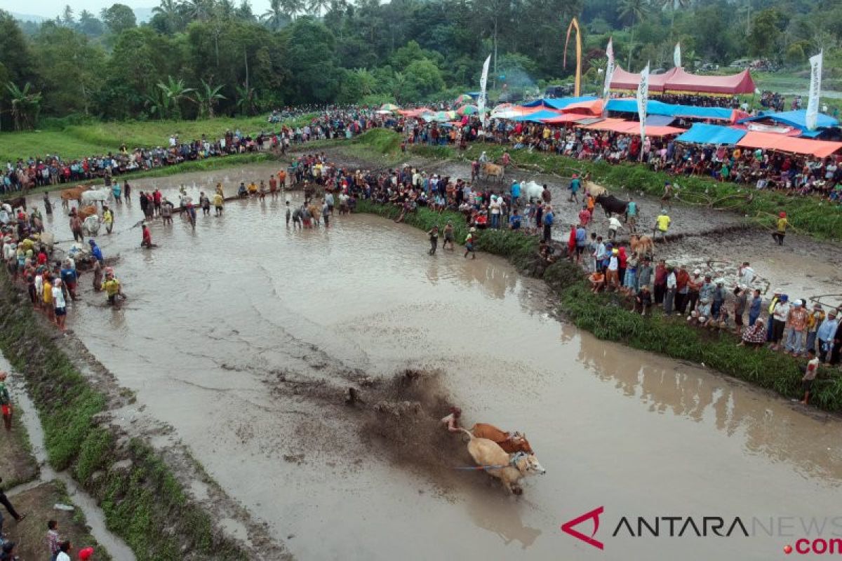 Tanah Datar siapkan empat festival meriahkan Lebaran