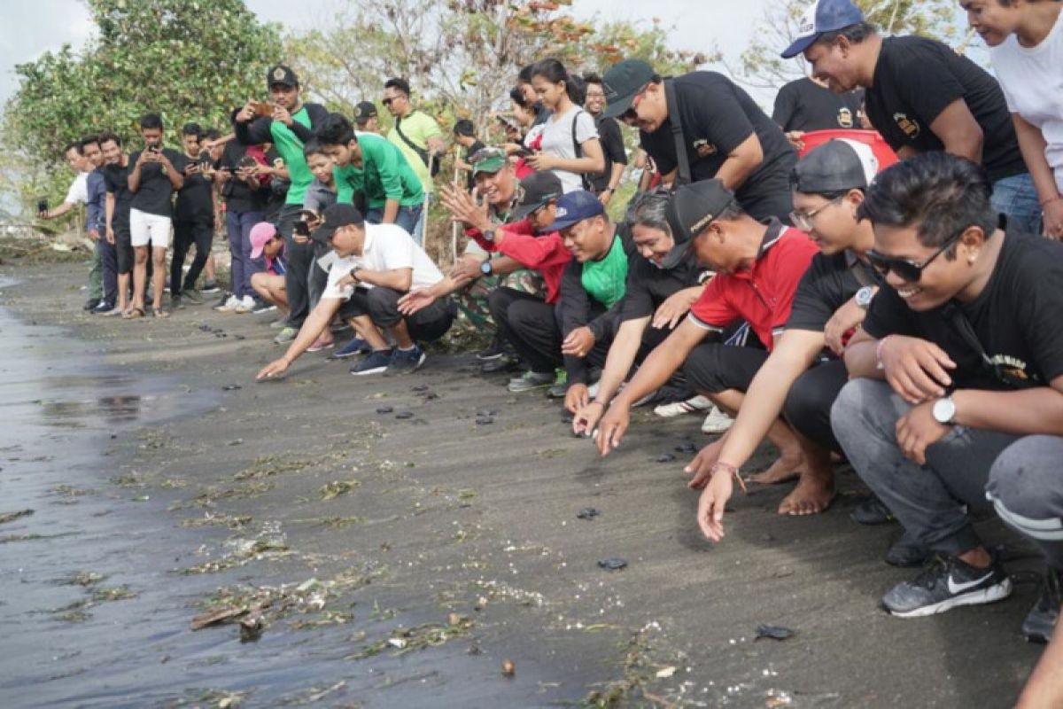 ST Tunas Muda Denpasar lepas 70 tukik