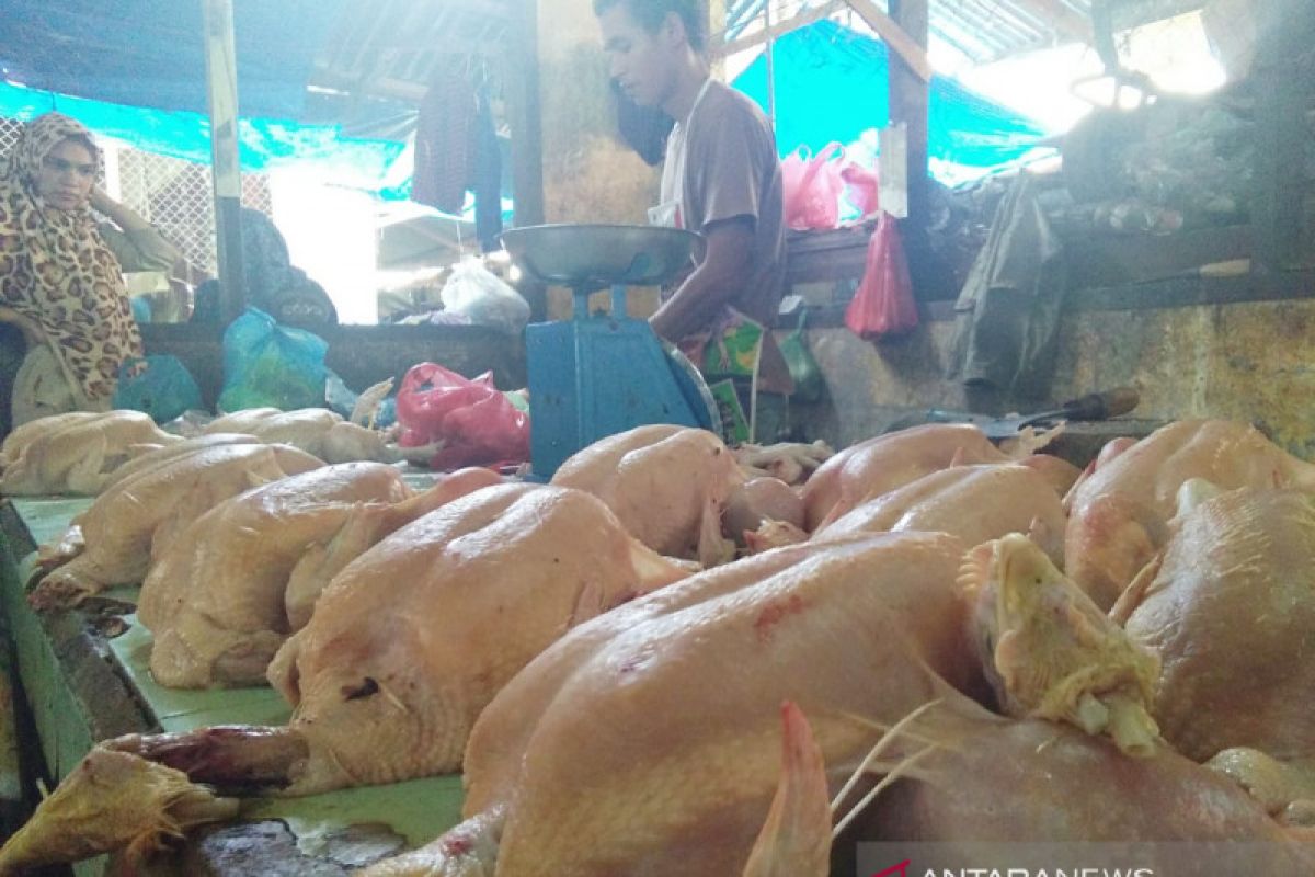 Jelang Idul Fitri harga ayam potong melonjak tinggi di Lhokseumawe