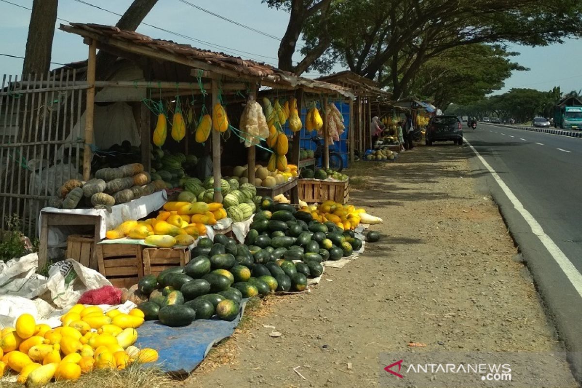 Penjual buah dadakan bermunculan di jalur mudik