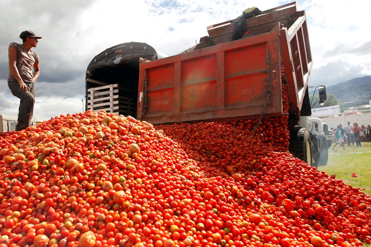 Petani Meksiko donasikan tomat karena permintaan sepi akibat corona